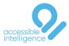 Accessible Intelligence